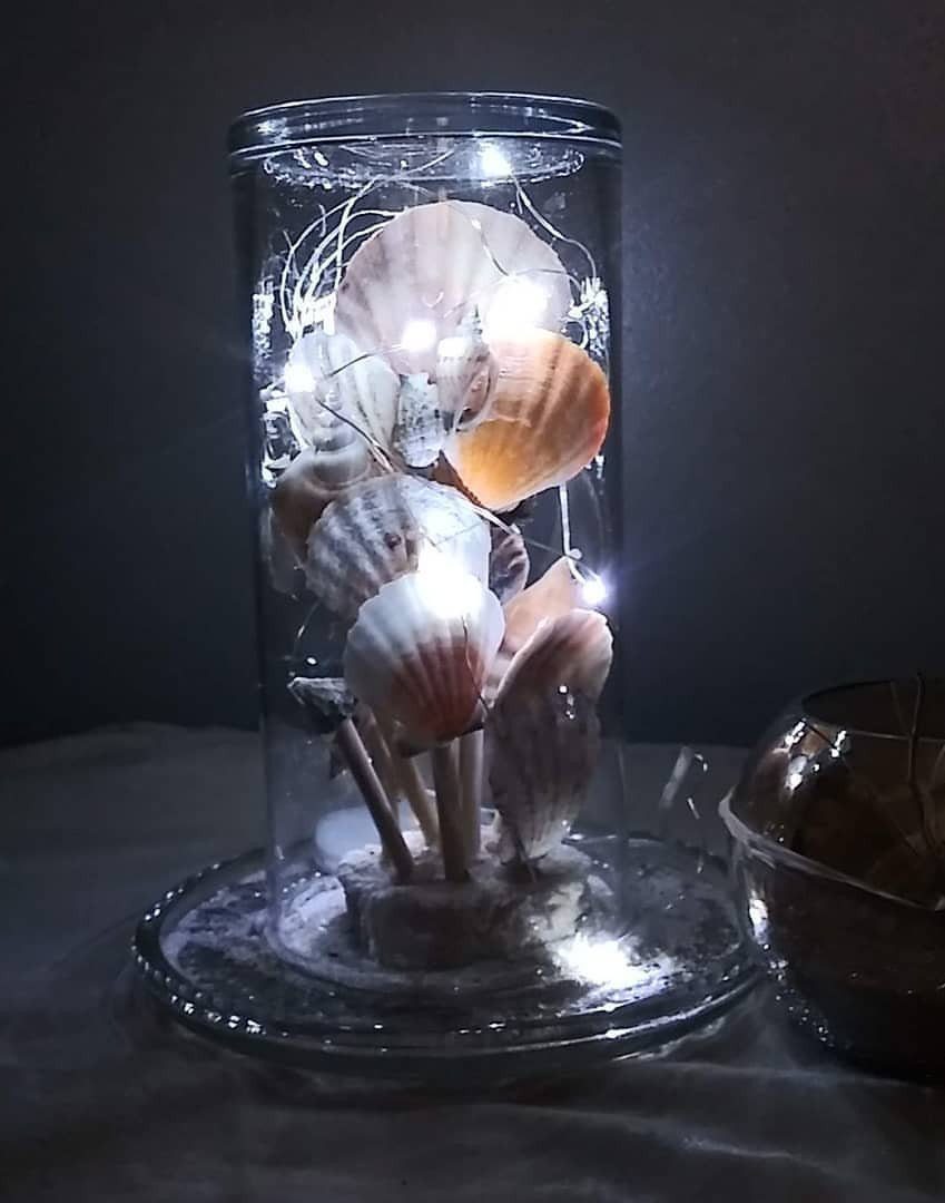 Seashells illuminated by fairy lights inside a clear glass cylinder decoration.