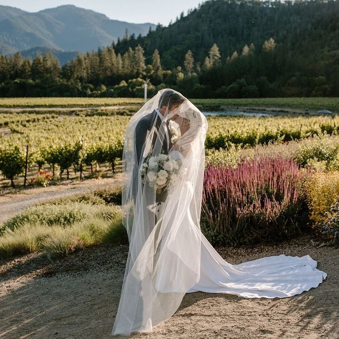 Bride and groom embracing under a long, translucent white wedding veil in a vineyard.