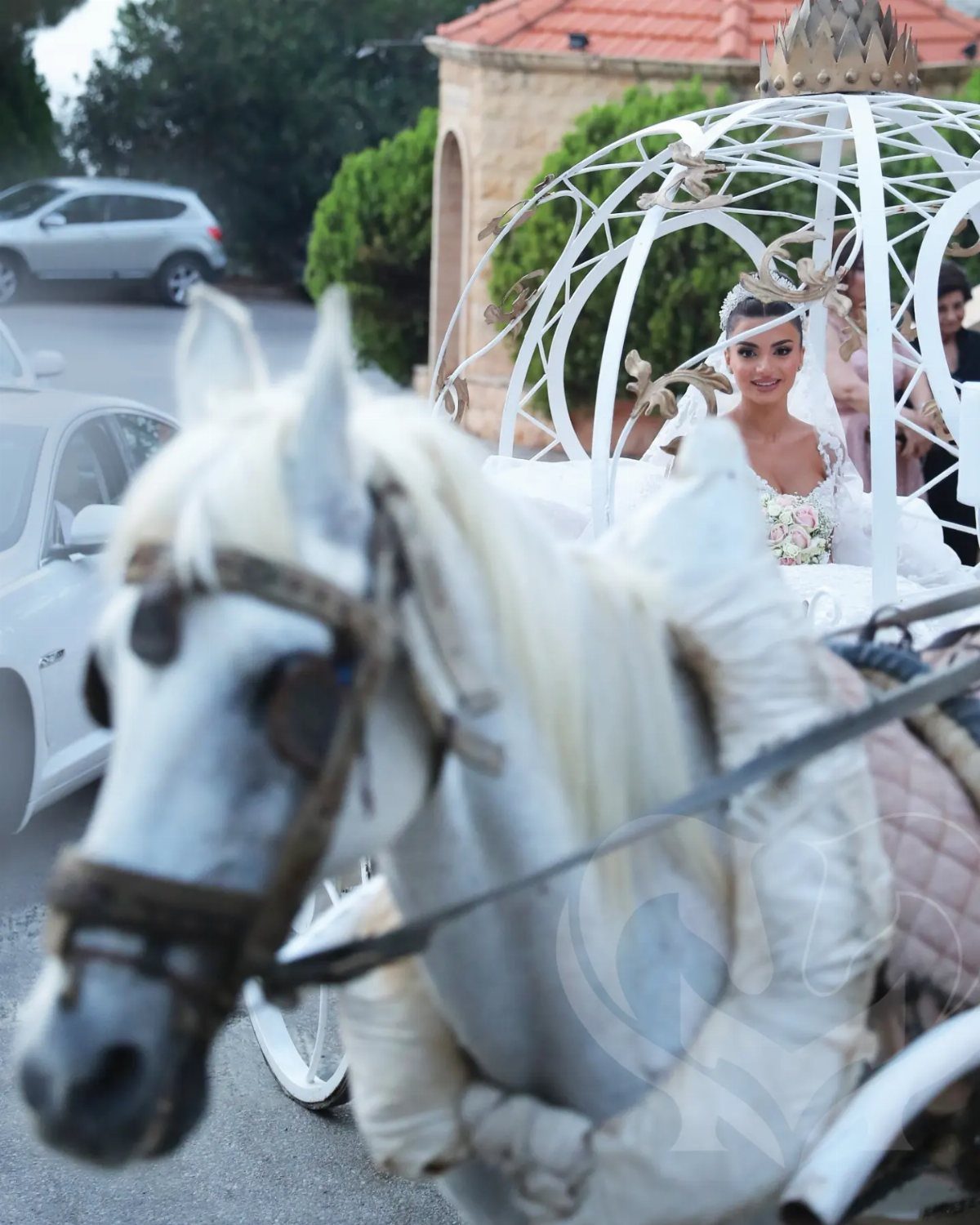 7 Cute Wedding Ideas for Guests, Photos and Reception Fun 7 A white horse pulling an ornate white carriage containing a smiling bride in a wedding dress.