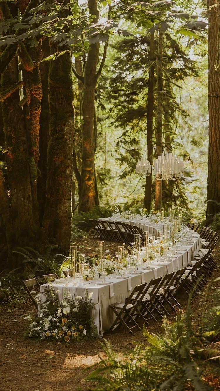 A long wedding banquet table decorated with white flowers and candles in a sunlit forest.