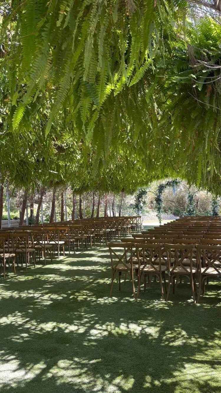 Garden Wedding Ceremony: 9 Ideas for Intimate Outdoor Vows 7 Wooden chairs arranged for a ceremony under a lush canopy of hanging green ferns.