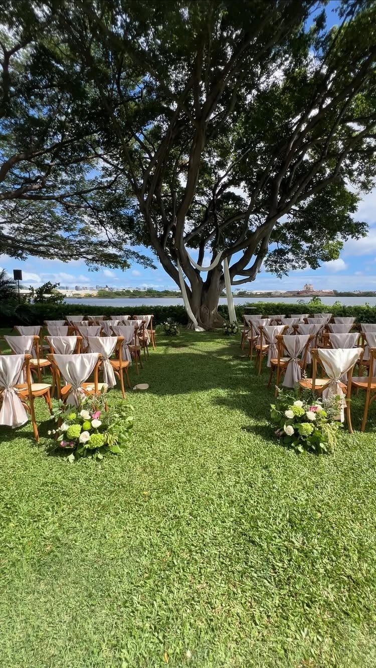 Garden Wedding Ceremony: 9 Ideas for Intimate Outdoor Vows 4 Wooden wedding chairs with white fabric arranged on a lawn under a large spreading tree.