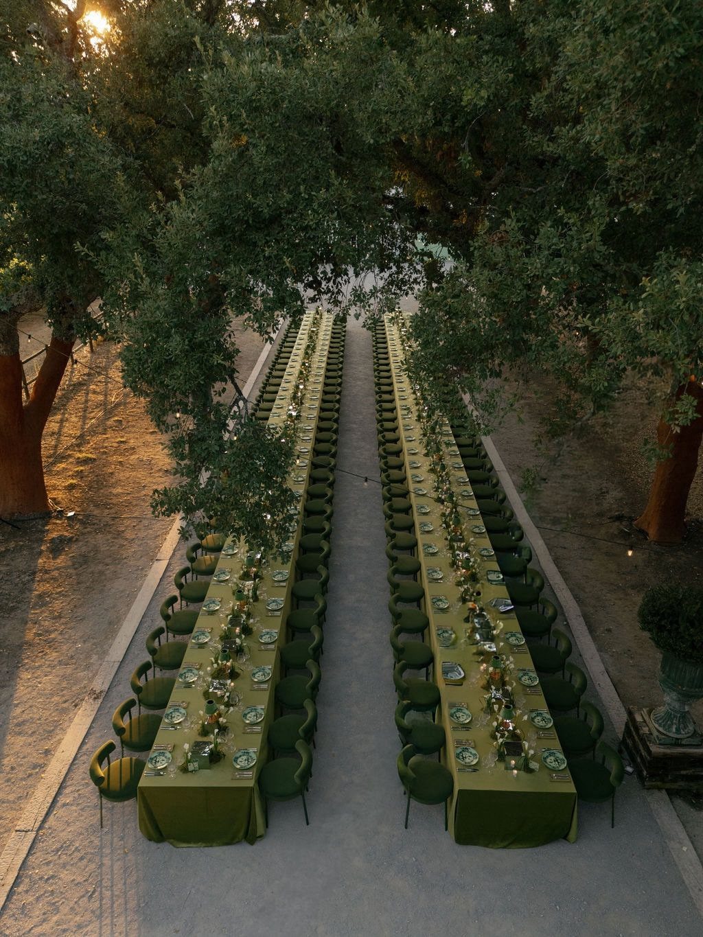 Two long outdoor dining tables with green tablecloths set under large trees at sunset.