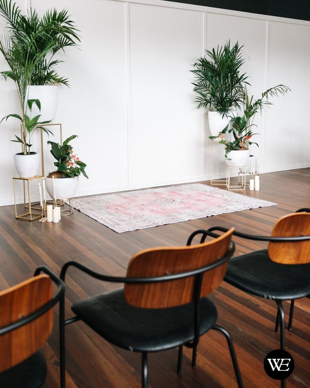 Wooden chairs with black cushions arranged facing a patterned rug and potted plants in a bright room.