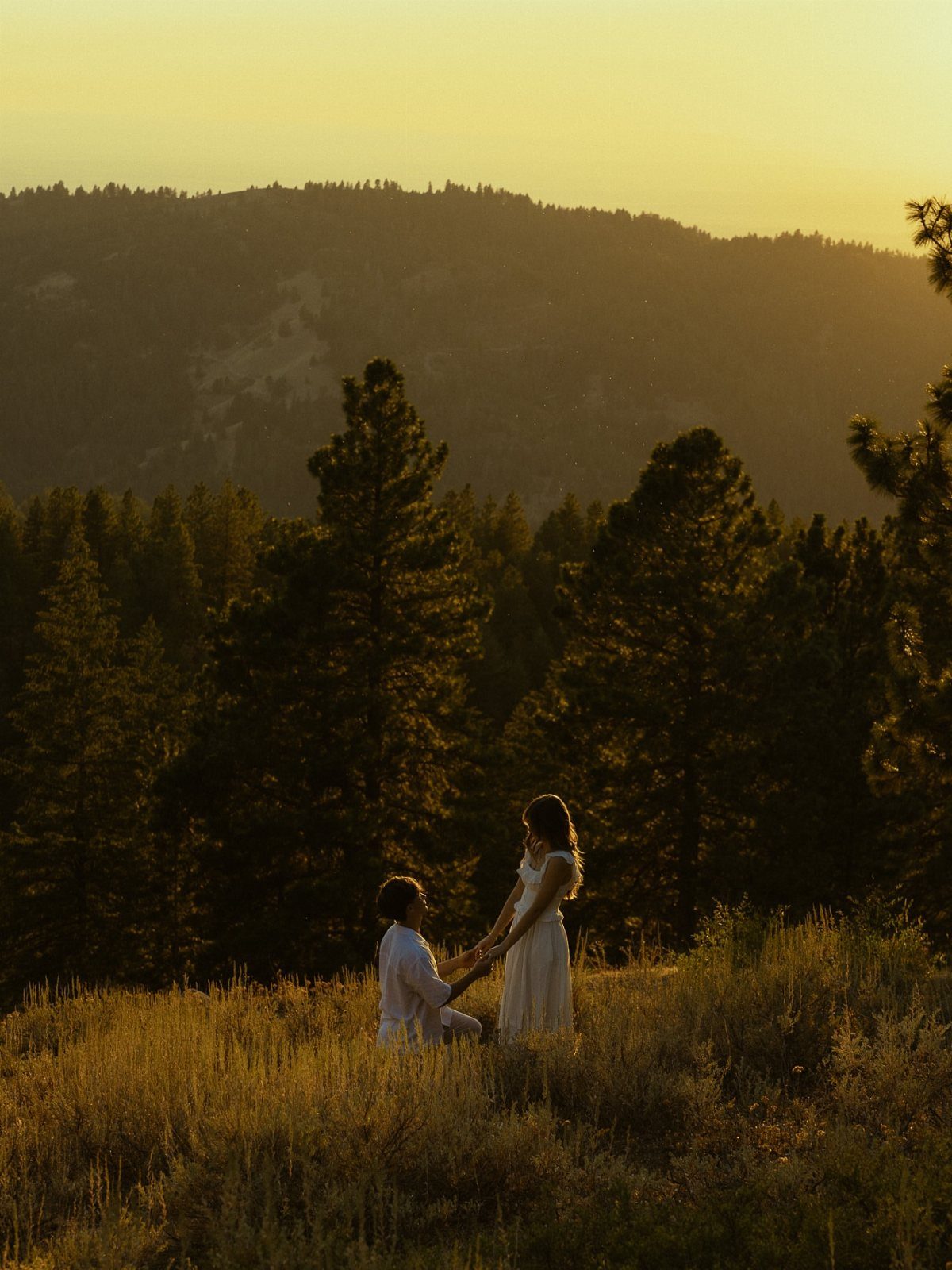 A couple sits in a grassy field facing each other with mountains and pine trees behind them.